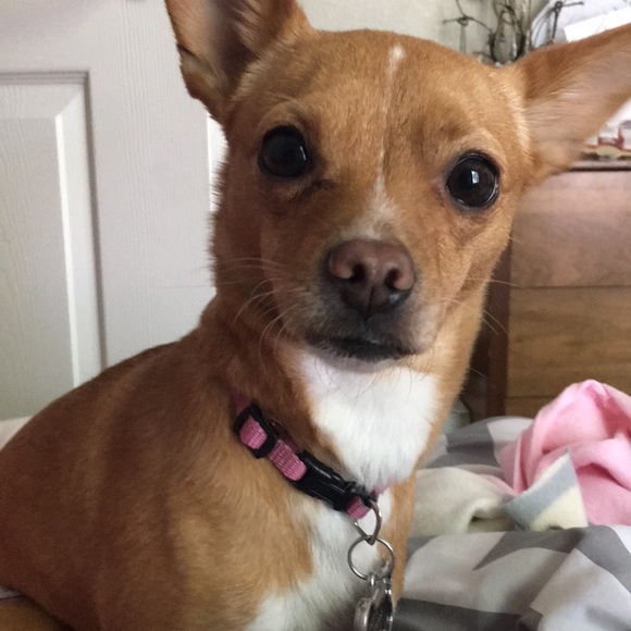 Meet your Posher, Ammery - Picture 1 of 1